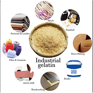 E-KING Professional bloom gelatin gelatine for wholesales